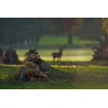 Kurtka Härkila Deer Stalker Camo HWS – Profesjonalna odzież myśliwska