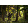 Bluza Harkila Deer Stalker AXIS MSP Forest – Zaawansowana odzież techniczna